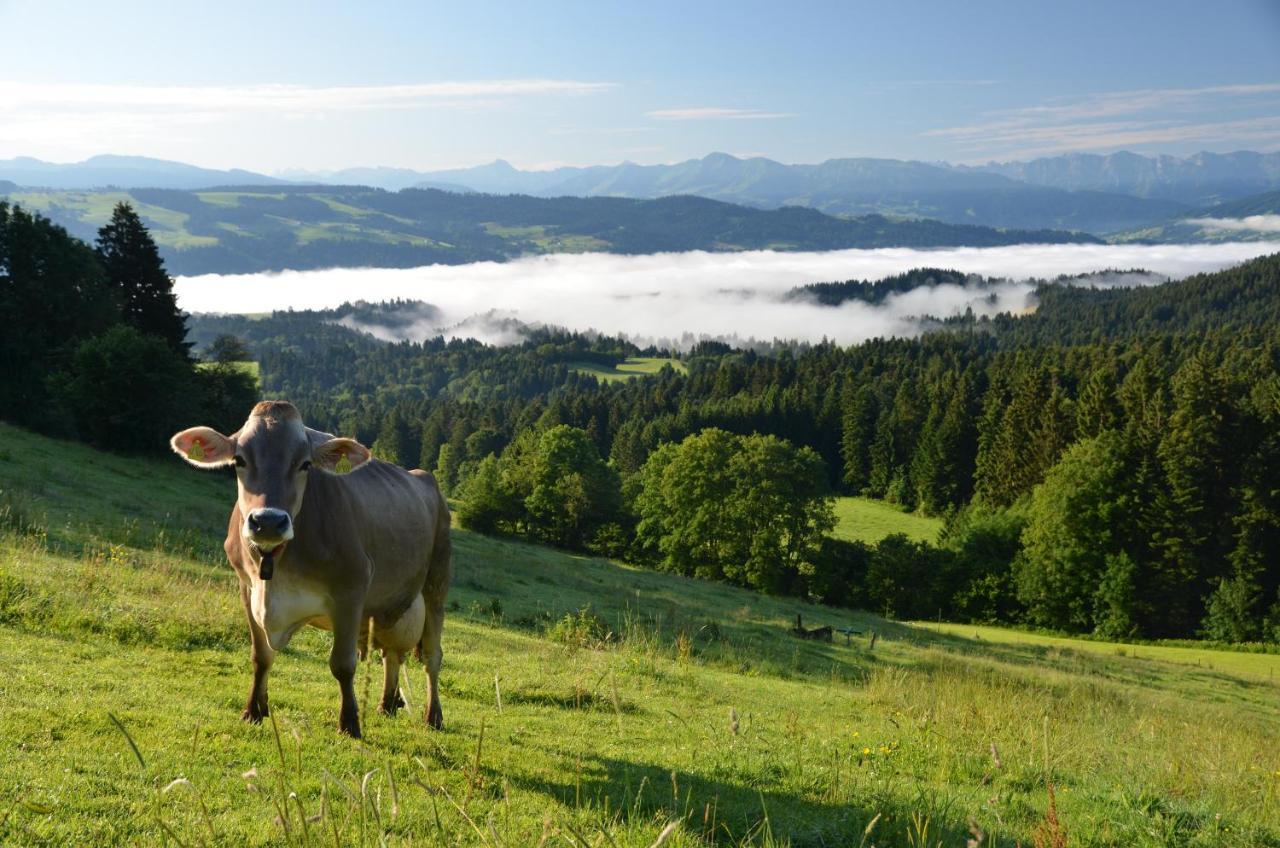 Hotel Alpenrose Gut Schlafen & Fruehstuecken ไชเดกก์ ภายนอก รูปภาพ
