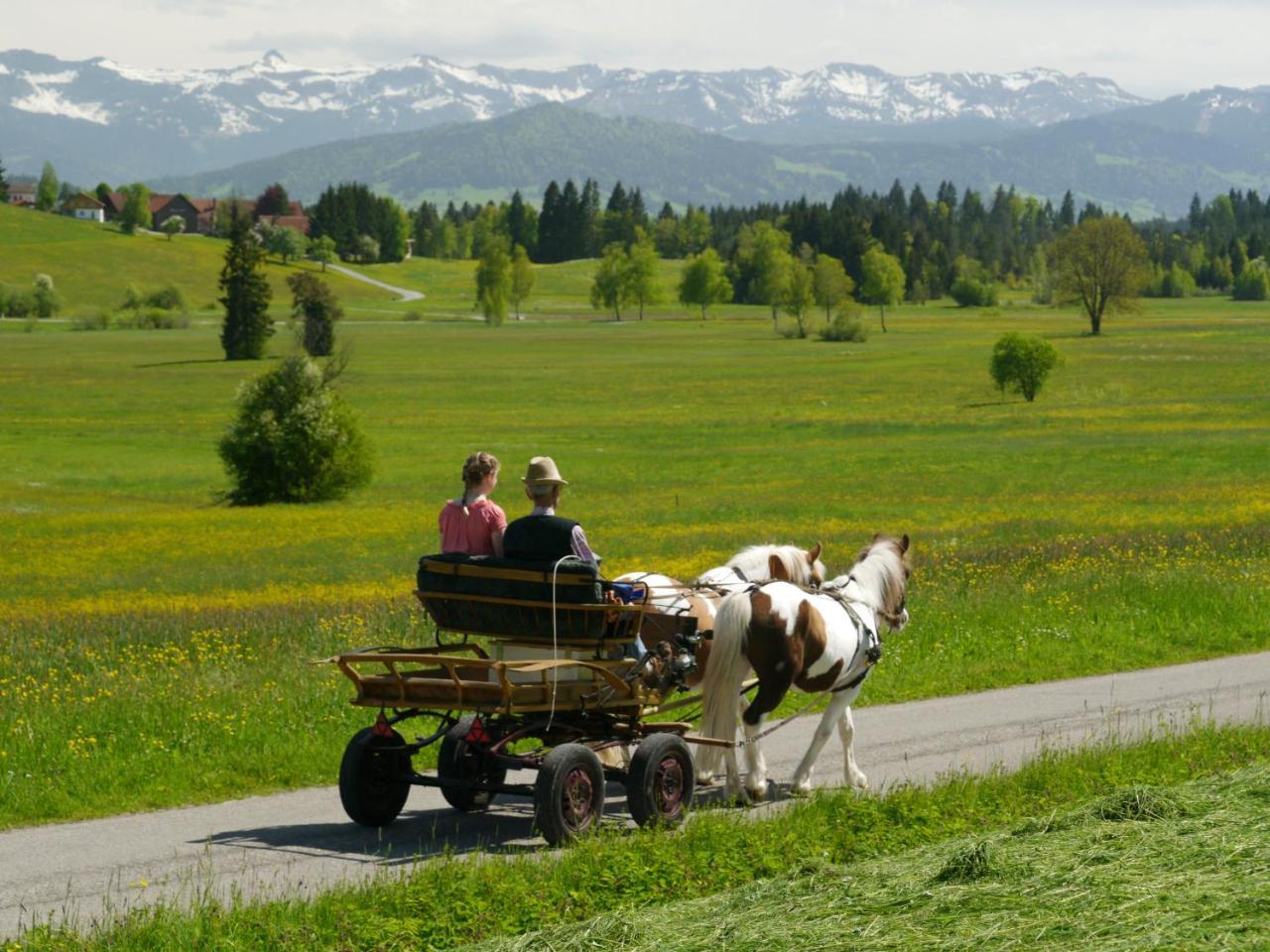 Hotel Alpenrose Gut Schlafen & Fruehstuecken ไชเดกก์ ภายนอก รูปภาพ
