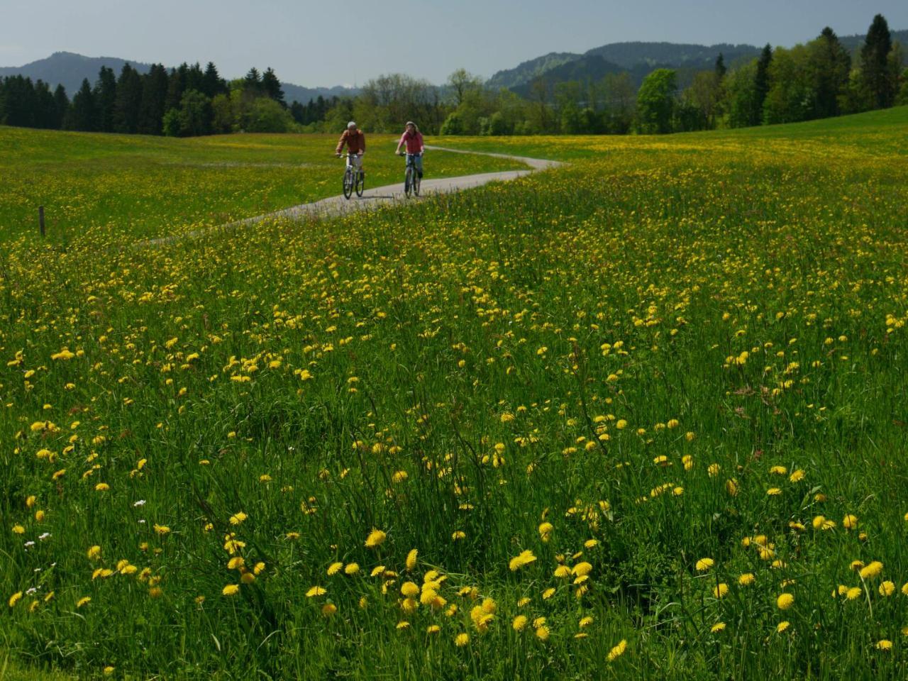 Hotel Alpenrose Gut Schlafen & Fruehstuecken ไชเดกก์ ภายนอก รูปภาพ